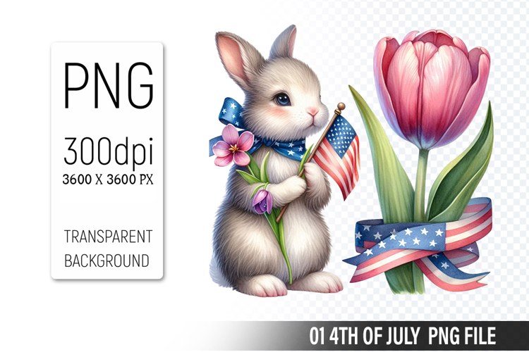 American Flag Png Image 8