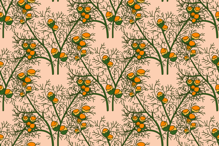 Botanical floral seamless pattern with chamomile flowers vec example image 1