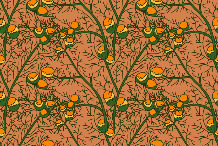 Daisy Background Image 14