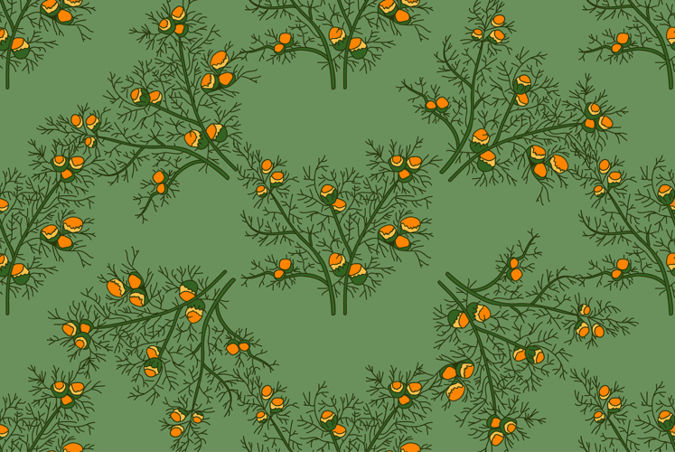 Daisy Background Image 13