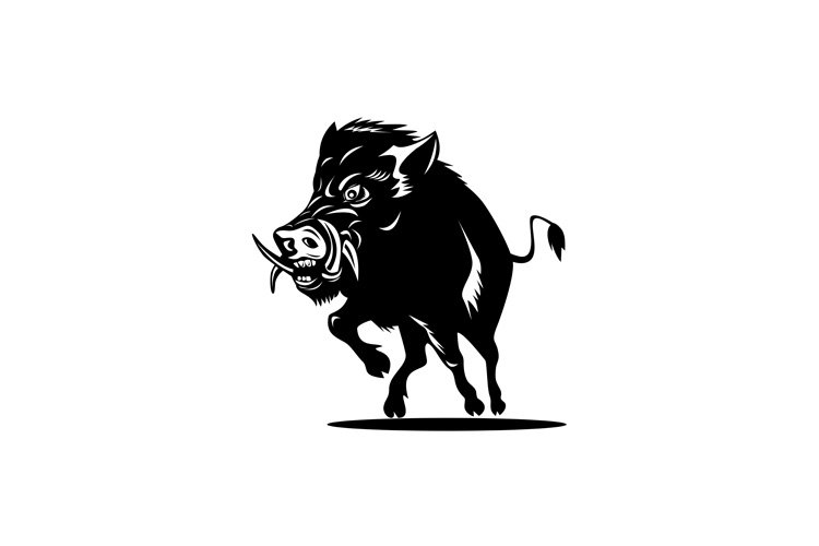 Pig Clipart Image 5