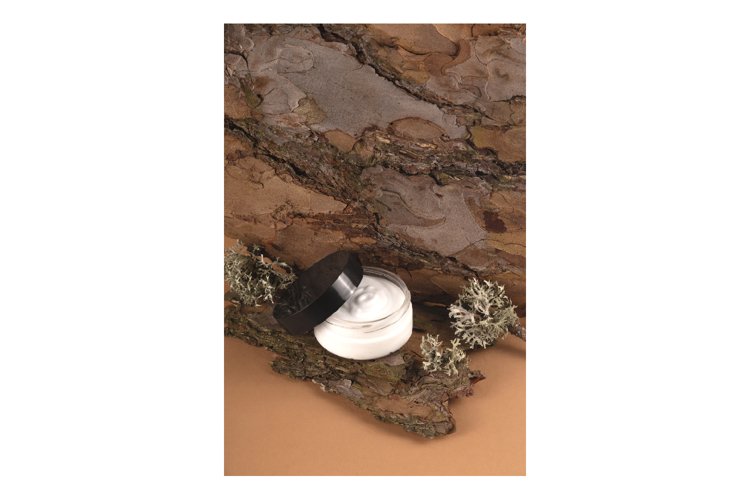 Garden Background Image 3