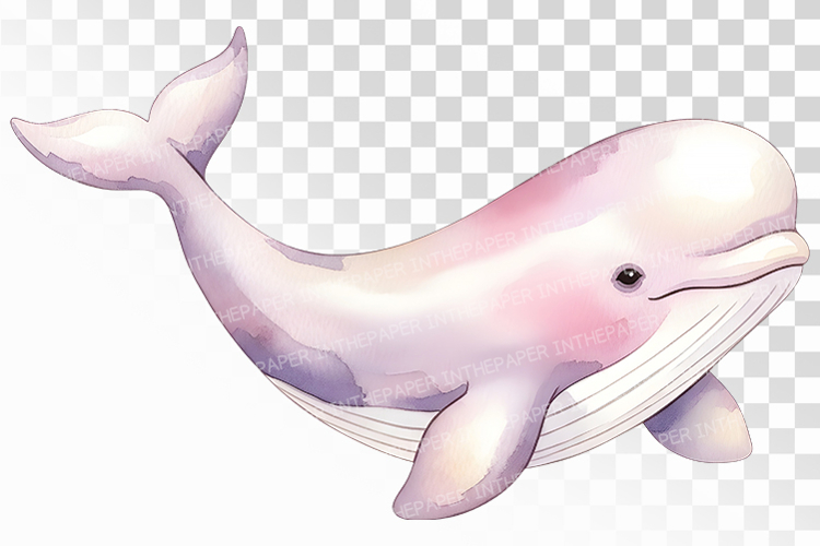 Kawaii Clipart Image 21