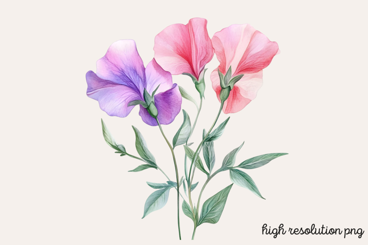 Flower Clipart Png Image 23
