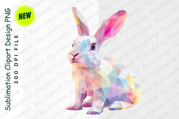 Geometric Illustration Image 8