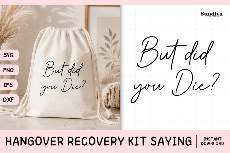 Funny Hangover Kit Saying SVG | But Did You Die