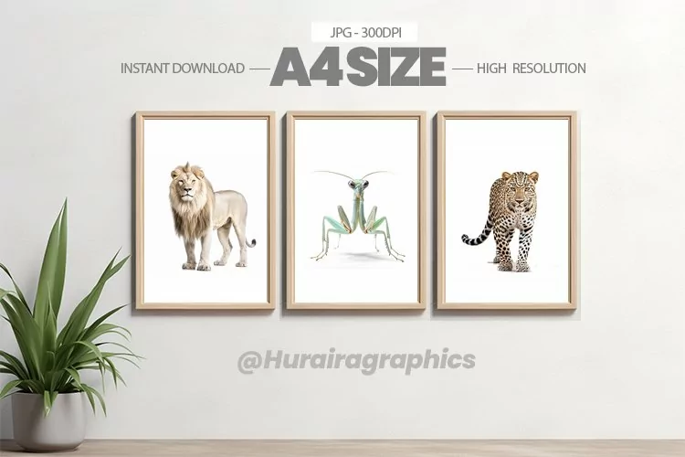 Animal Wall Art - 03 Variations