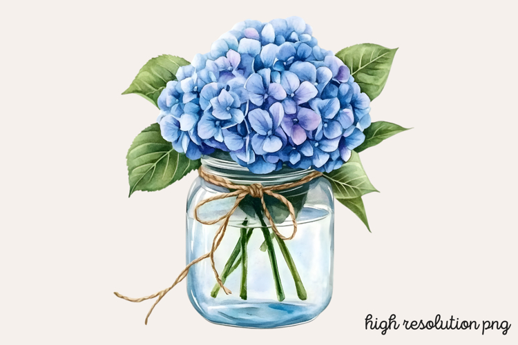 Hydrangea Png Image 20