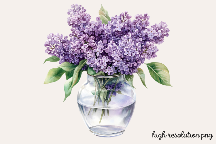 Lilac Illustration Image 19