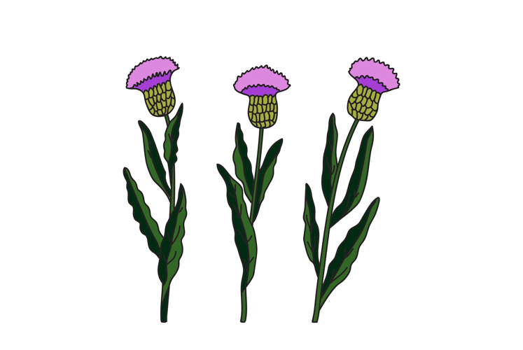 Three Clipart Image 13