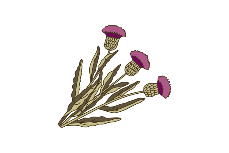 Purple Flower Clipart Image 17