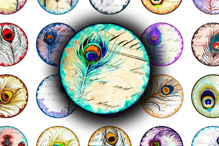 Peacock Feather Clipart Image 3