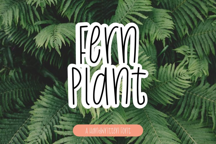 Fern Plant example image 1