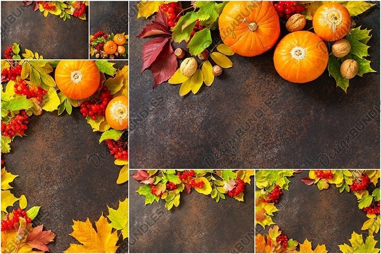 Autumn composition with autumn leaves bundle 6 stock photos. example image 1