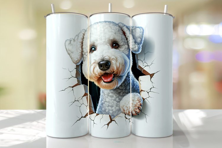 Crack Clipart Image 11
