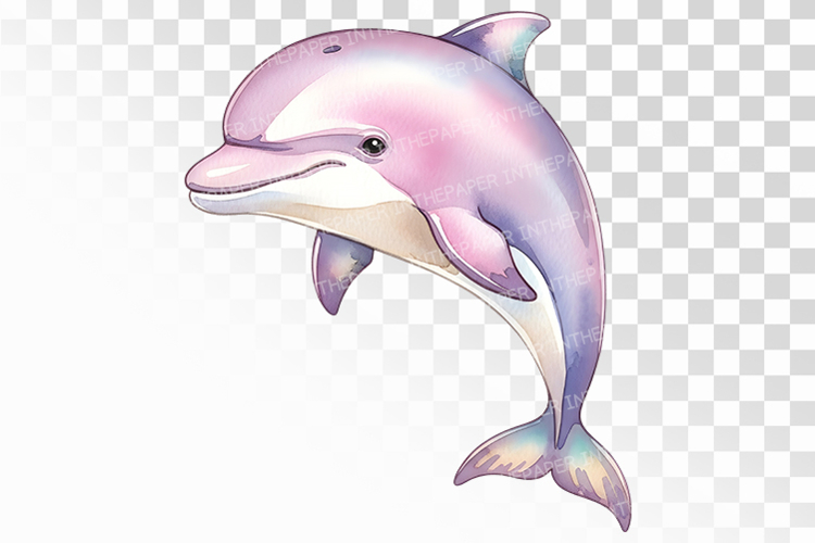Cute Pink Dolphin Happy Marine Mammal Ocean PNG Summer