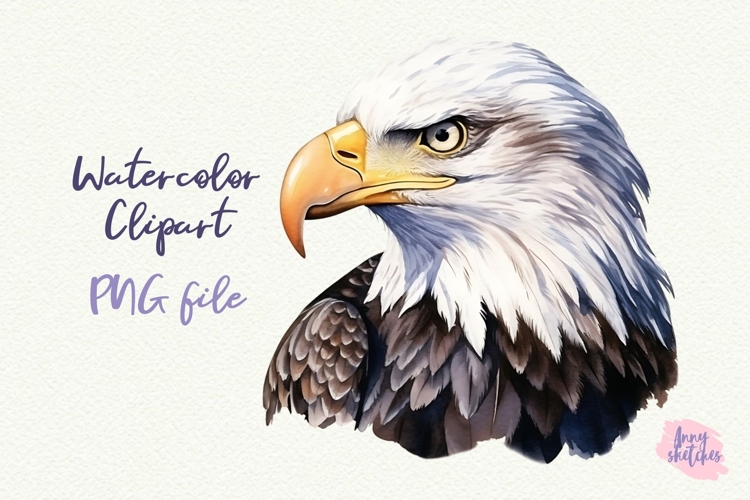 American Bald Eagle PNG Sublimation. Presidents day clipart