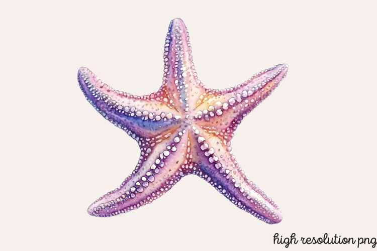 Underwater Clipart Image 14