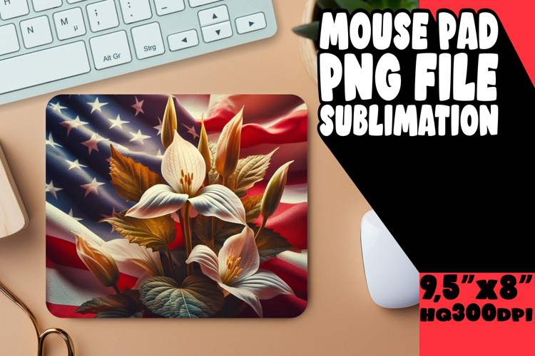 Usa Flag Png Image 15