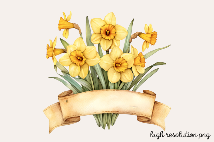 Daffodils Clipart Image 5