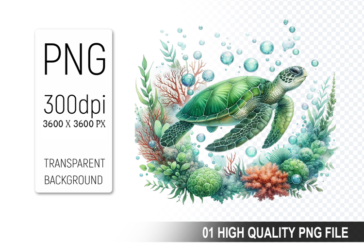 Turtle Png Image 12