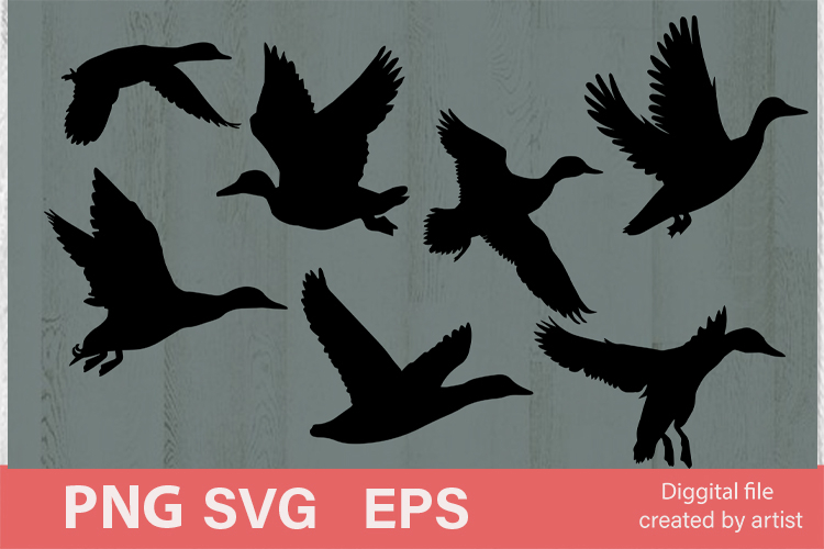 Duck Hunting Clipart Image 5