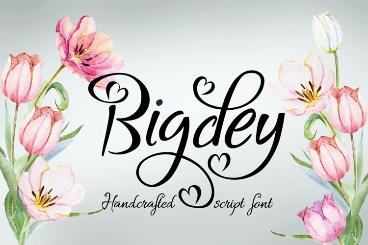 Bigdey Font example image 1