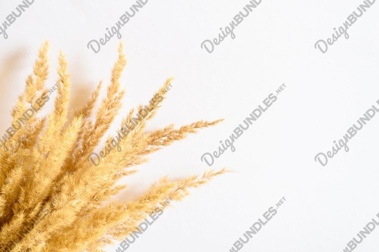 Dry Clipart Image 20
