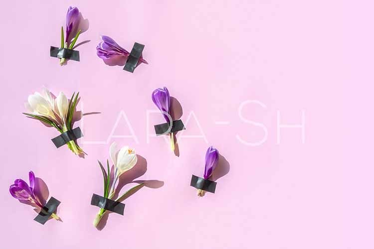 Pink Background Image 16