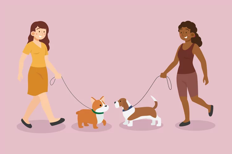 People Walking the Dog