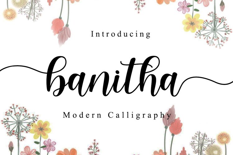 banitha example image 1