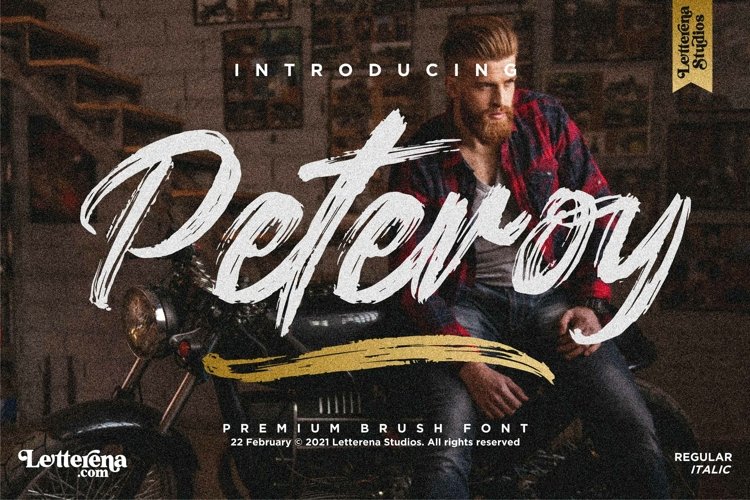 Peteroy - Premium Brush Font example image 1