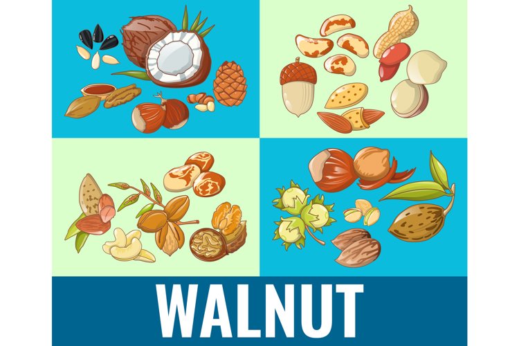 Seed Clipart Image 7
