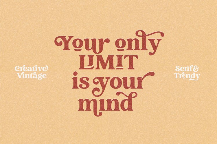 Creative Vintage Serif & Script fonts