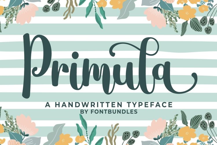 Branding Font Image 18