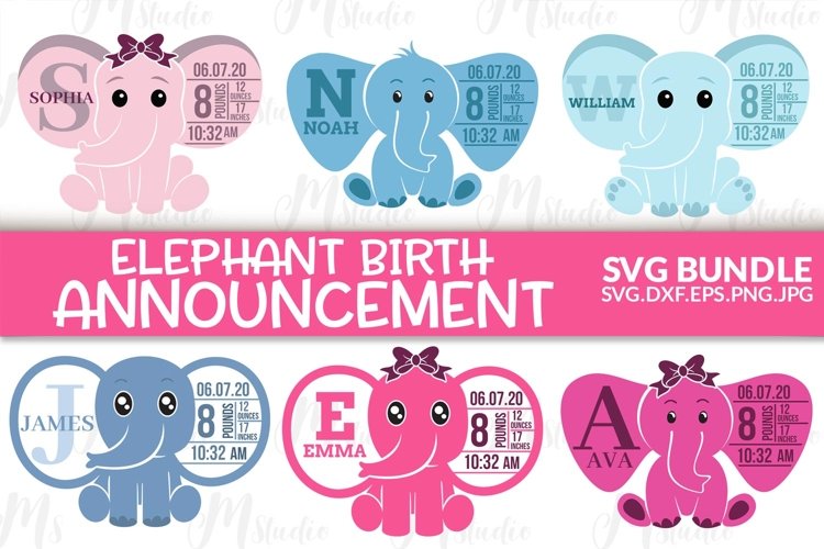 Elephant Birth Stats SVG Bundle 964042 