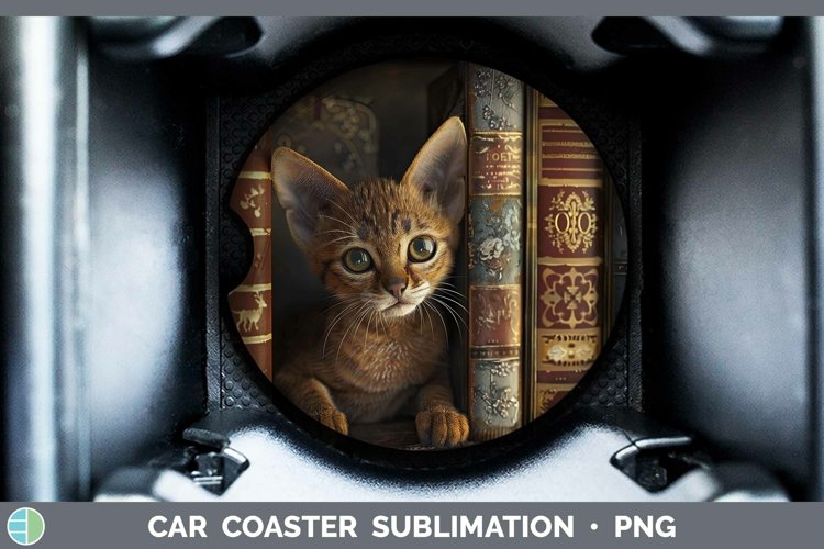 Gorgeous3D Books Car Coaster design.