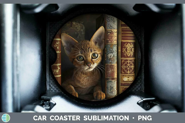 3D Books Abyssinian Cat Car Coaster Sublimation Coaster Desi
