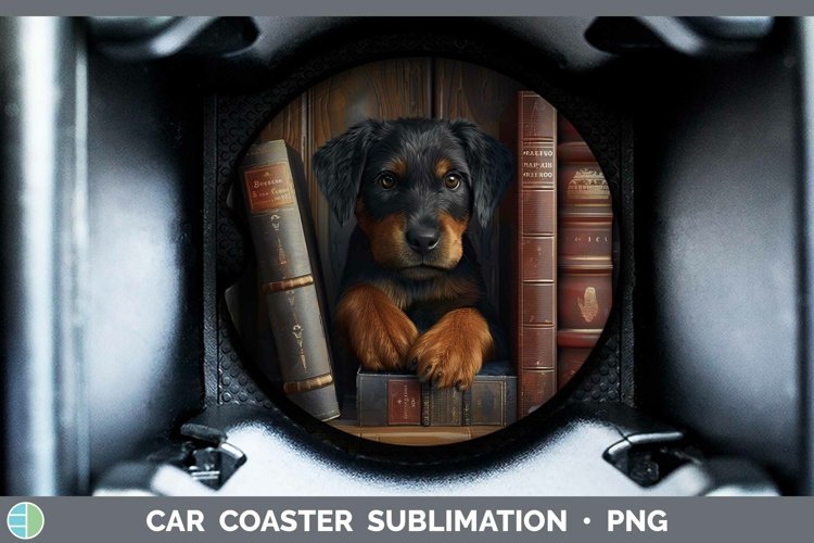 Gorgeous3D Books Car Coaster design.