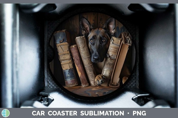 Gorgeous3D Books Car Coaster design.