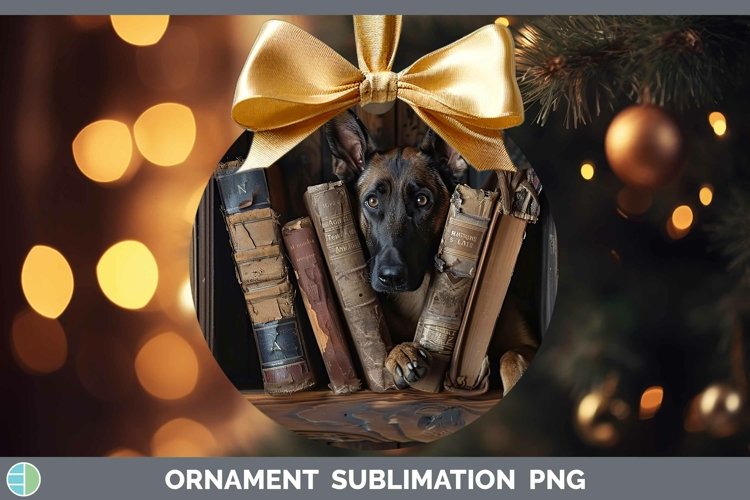 Gorgeous3D Books Ornament design.