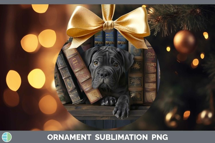 Gorgeous3D Books Ornament design.