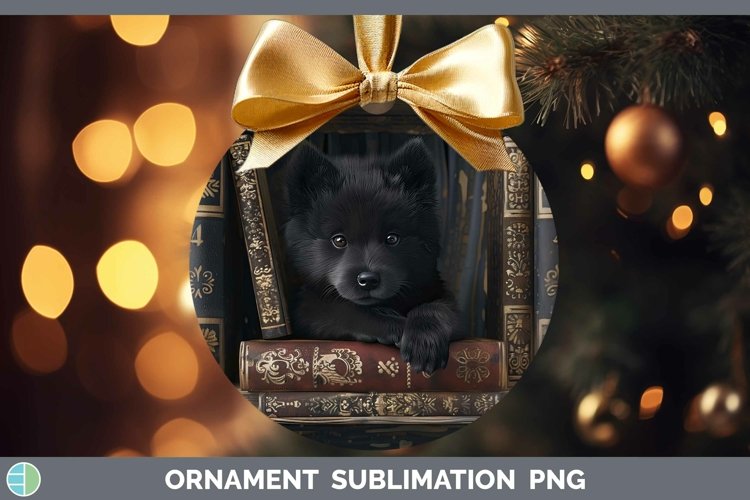 Gorgeous3D Books Ornament design.