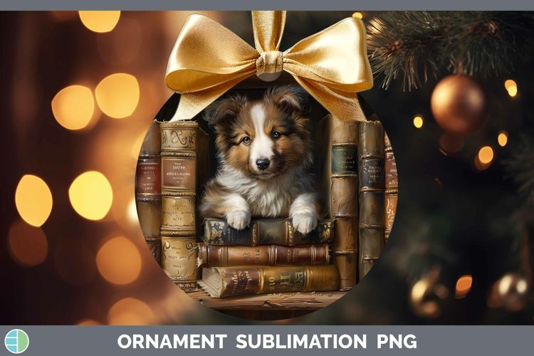 Gorgeous3D Books Ornament design.