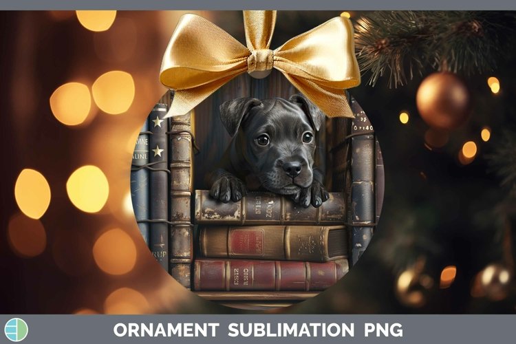 Gorgeous3D Books Ornament design.