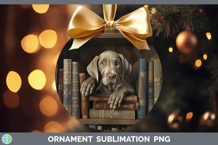Gorgeous3D Books Ornament design.
