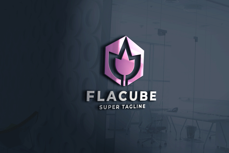 Geometric Logo Design Image 8