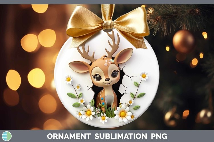 Gorgeous3D Hole in the Wall Ornament design.