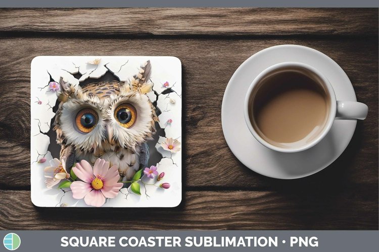 3D Hole in the Wall Owl Square Coaster | Sublimation Coaster