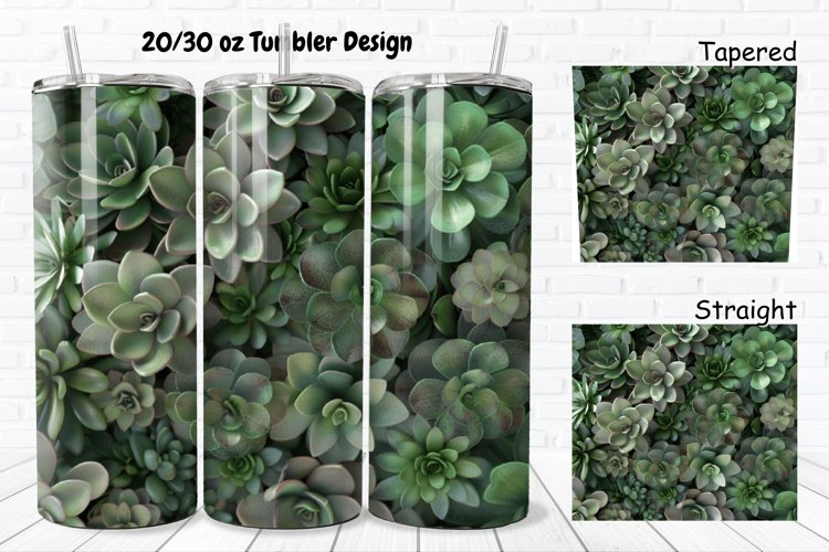 Succulent Clipart Image 4